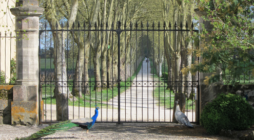 Gates of Ch Guiraud