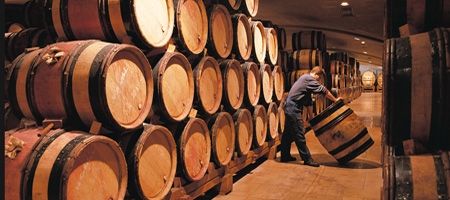 BarrelsIn Cellar