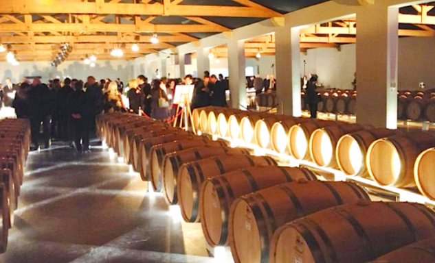 Bordeaux-wine-barrels-700x4251-633x384