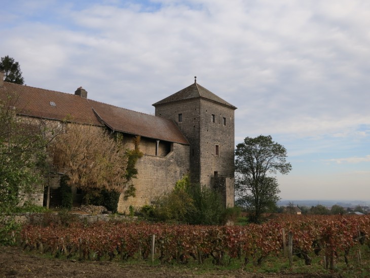 Gevrey Chambertin