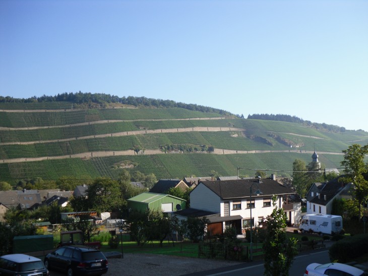 Mosel