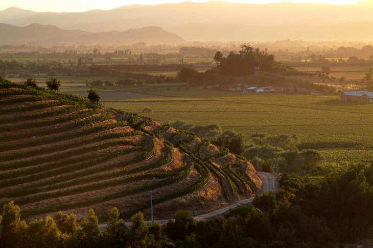 Valle de Colchagua