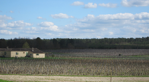 pomerol 111